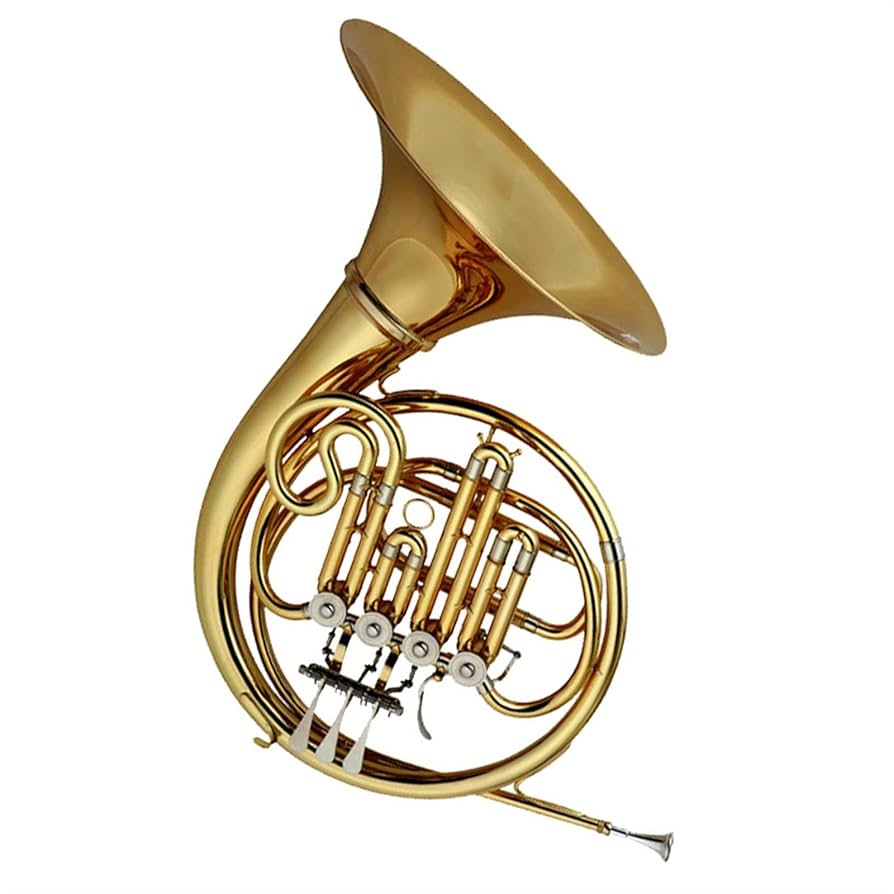 Amazon.co.jp: Beginner French Horn B Flat French Horn 4 Key